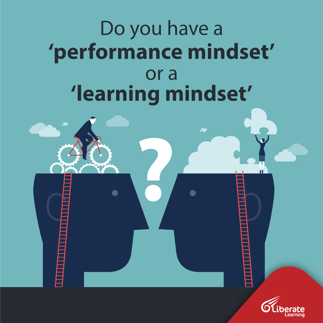 The Performance Gap Dilemma: Do you need a Learning or Performance Focus?